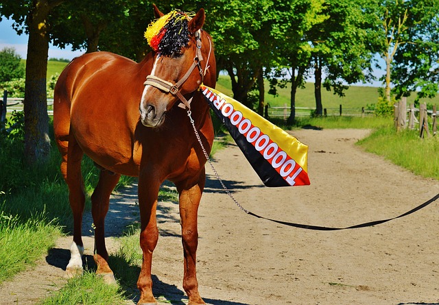 意外的惊喜 意外的惊喜