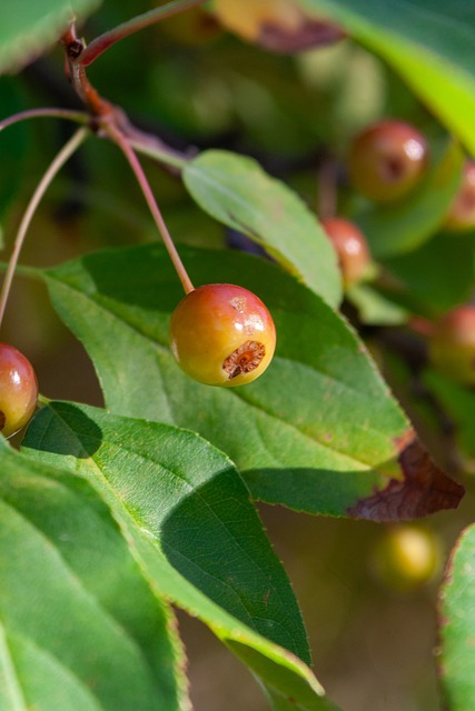 不得不接受 不得不接受