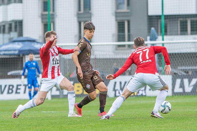 他们的管理 他们的管理