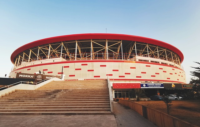 表现正源于 表现正源于