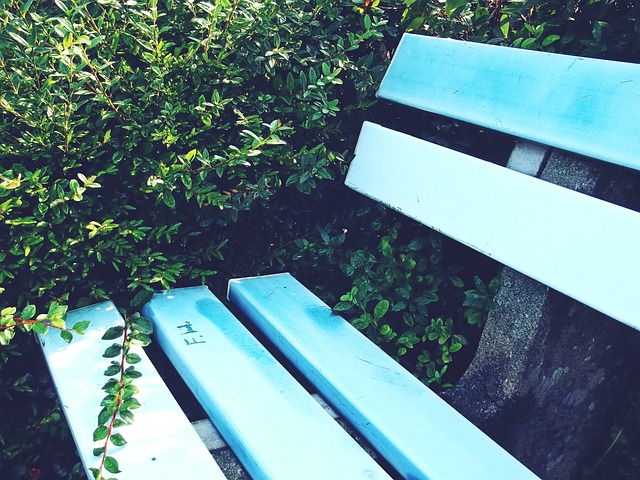 马刺队再次 马刺队再次