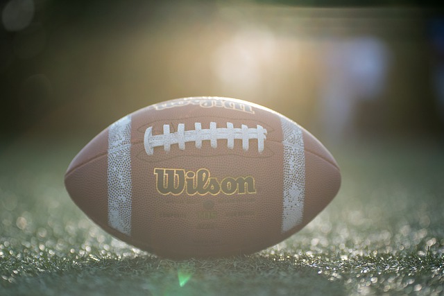 了展示自我 了展示自我