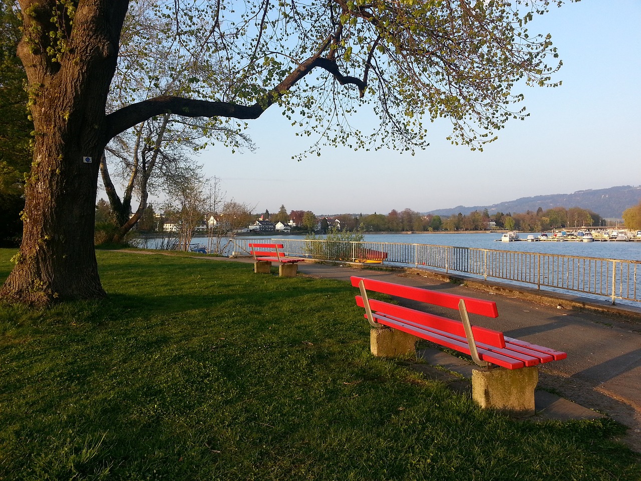 萧华被动地 萧华被动地